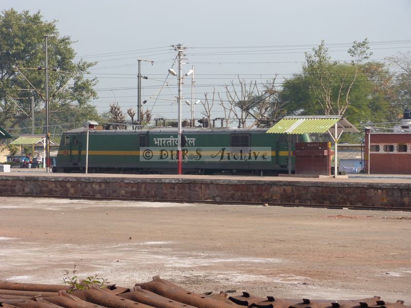 39019.JPG