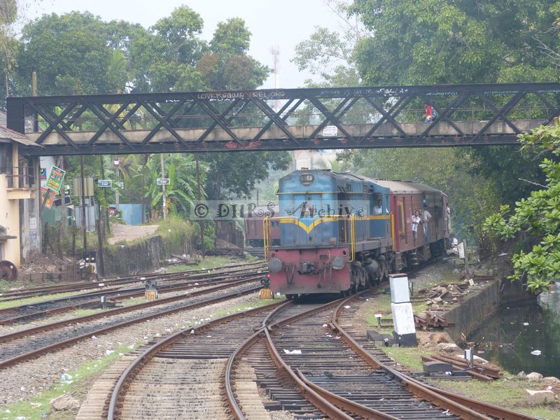 39165.JPG
