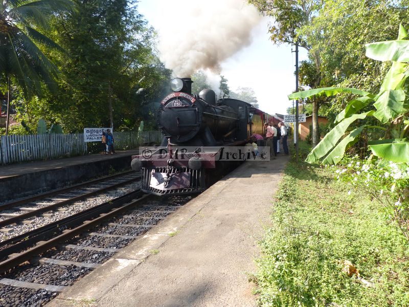 39190.JPG