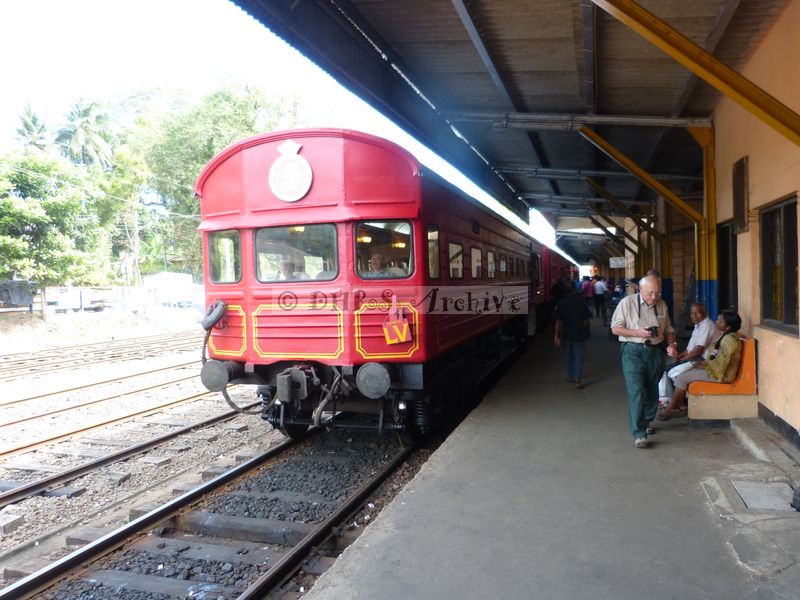 39195.JPG