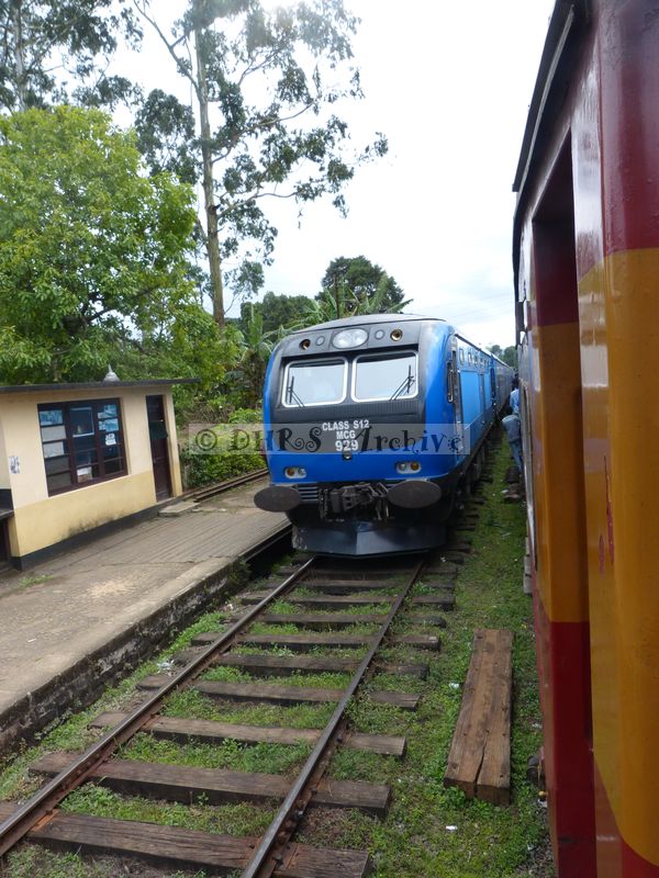 39265.JPG