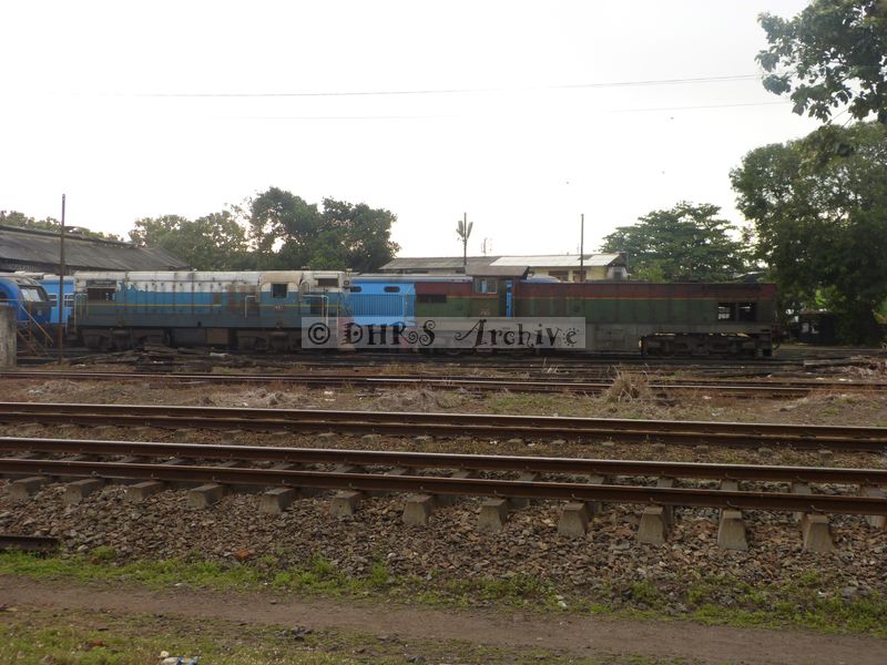 39279.JPG