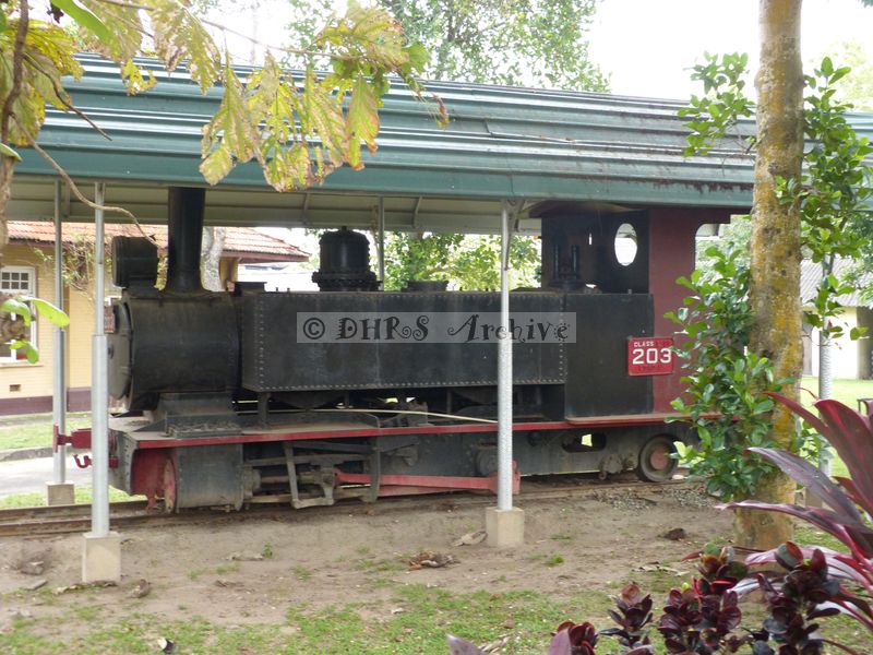 39314.JPG