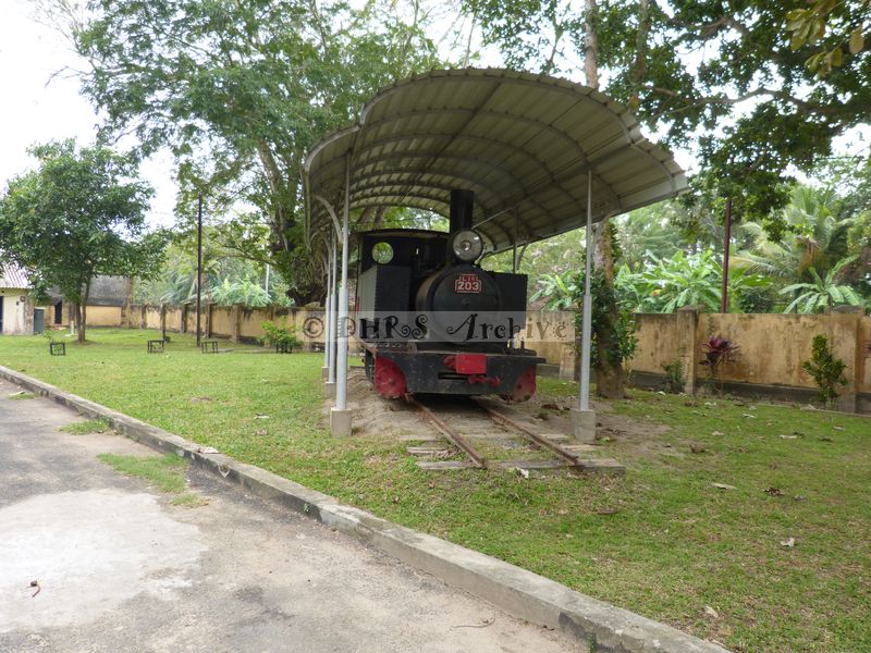 39315.JPG