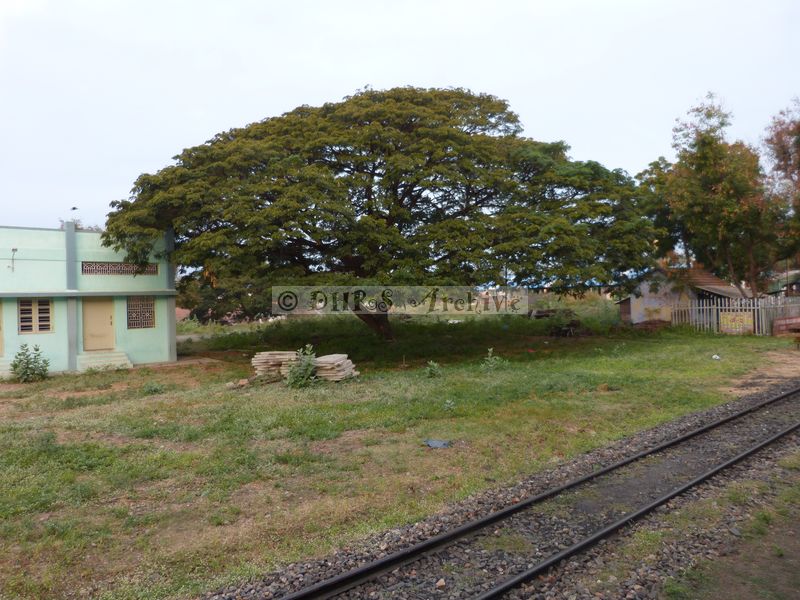 39431.JPG