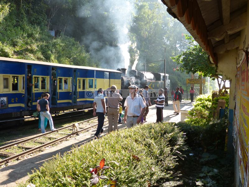 39458.JPG