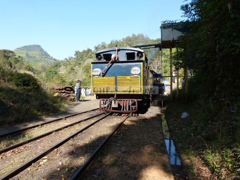 39461.JPG