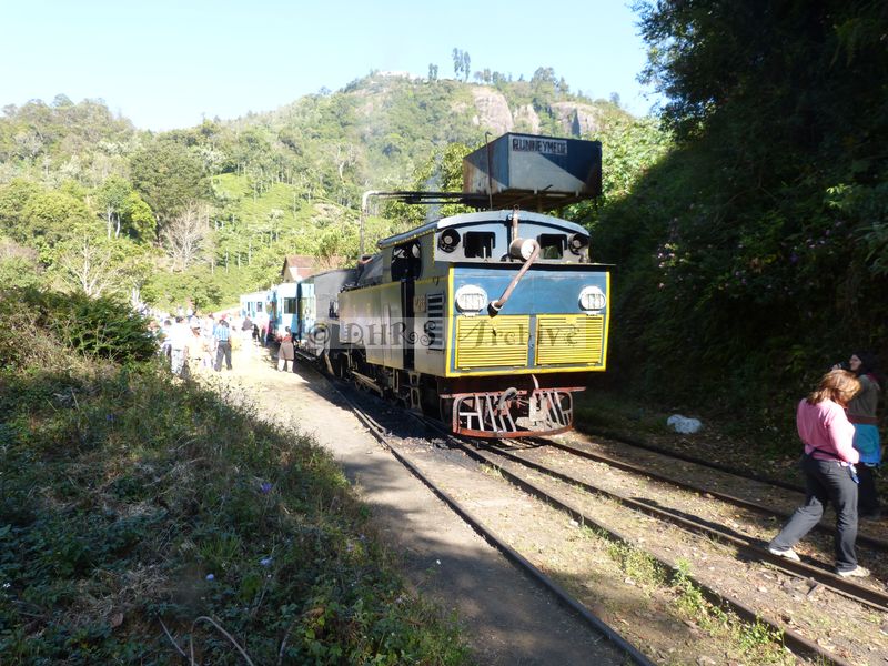 39462.JPG