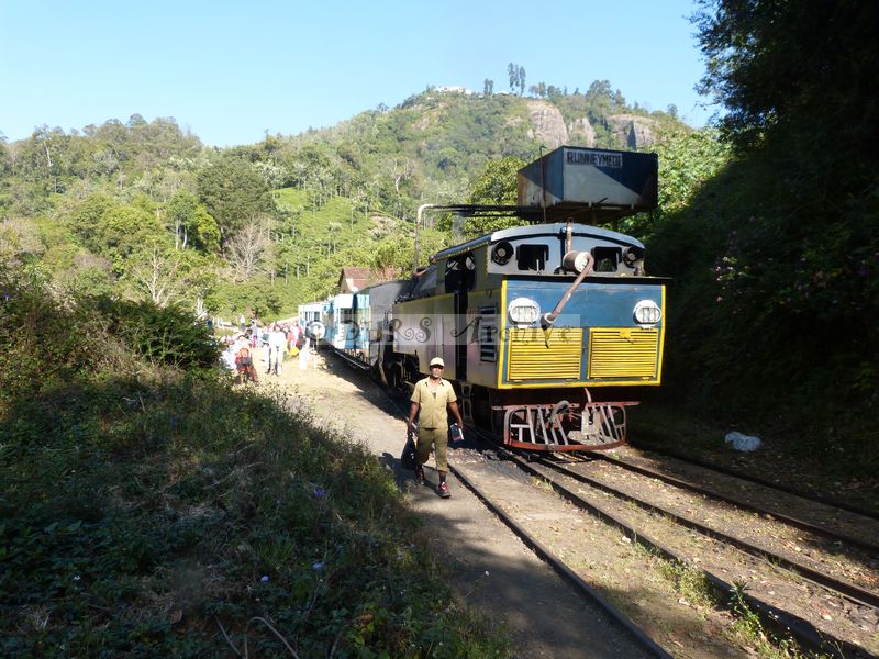 39464.JPG