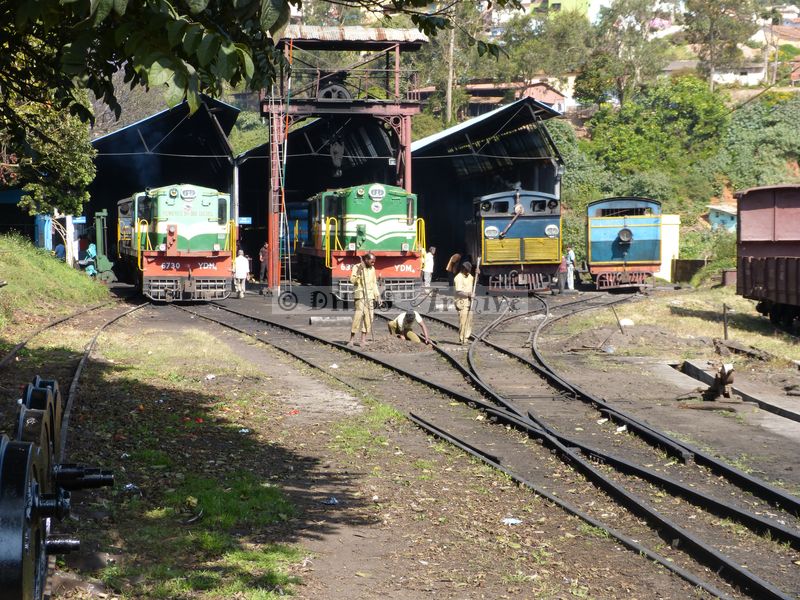 39467.JPG