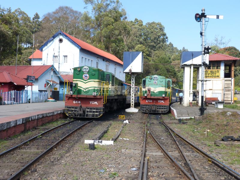 39474.JPG