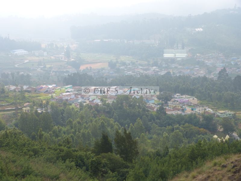 39487.JPG