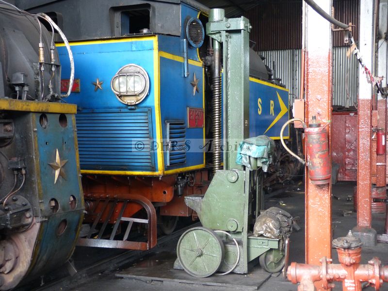 39505.JPG