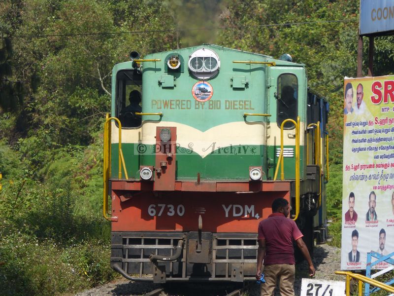 39511.JPG