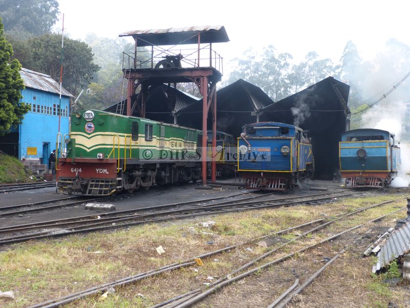 39530.JPG