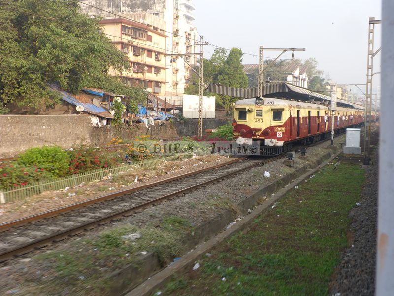 39544.JPG