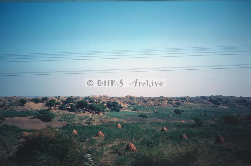 02354.jpg