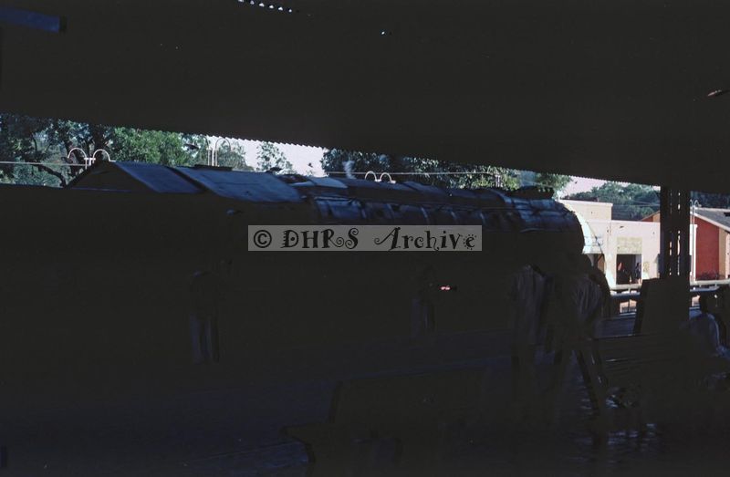 02363.jpg