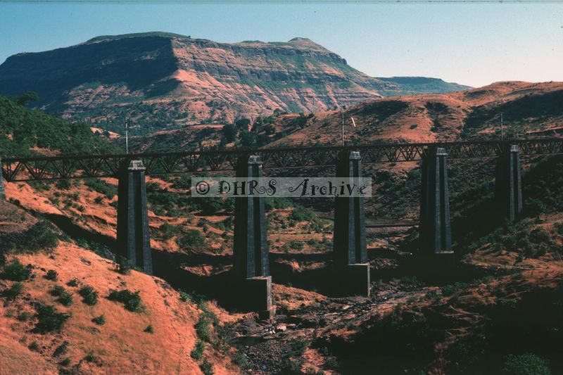 02390.jpg