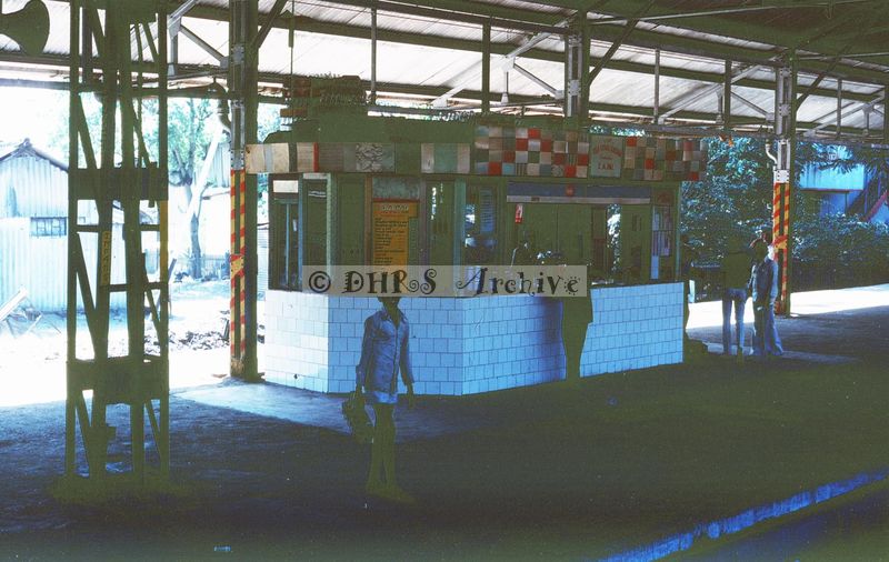 02417.jpg