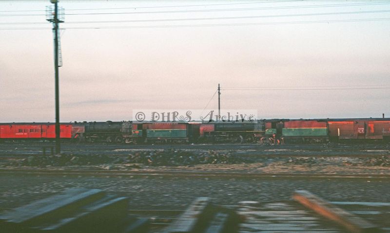 02440.jpg