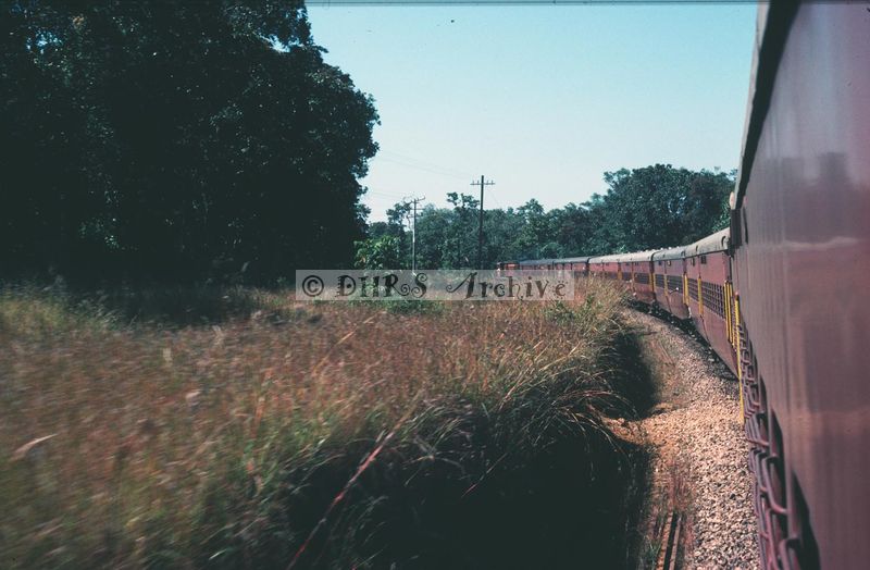 02467.jpg