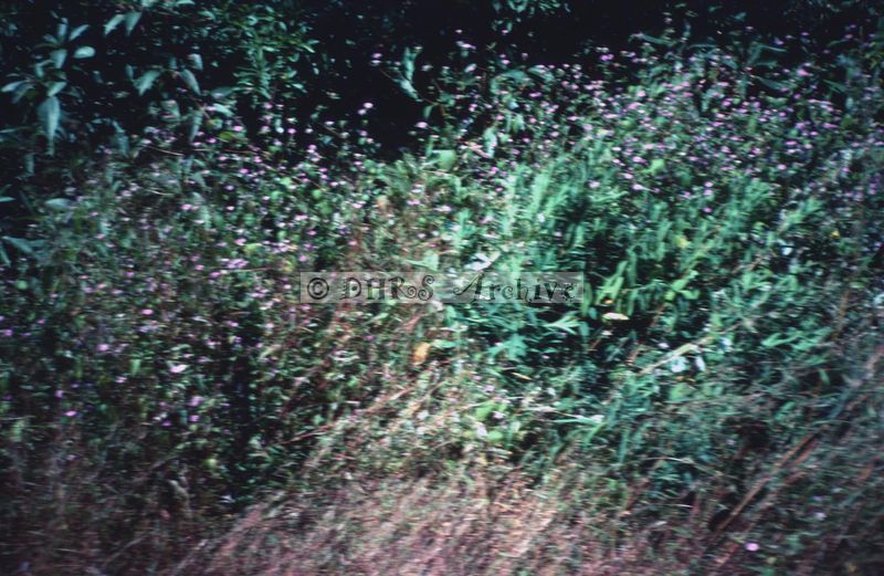 02472.jpg