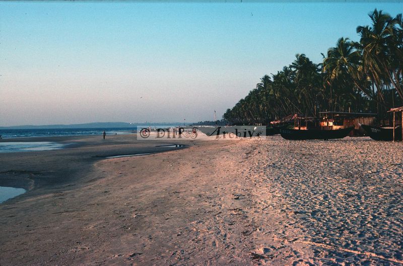 02501.jpg