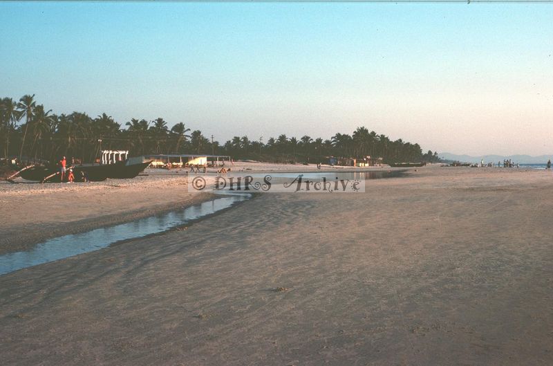 02502.jpg