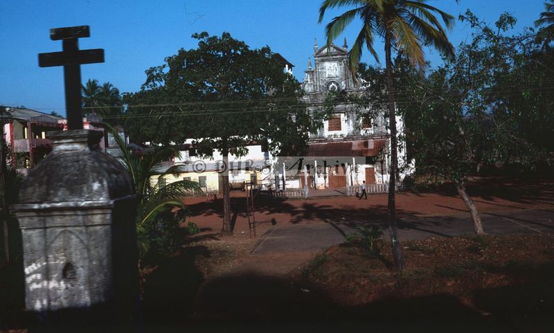 02554.jpg