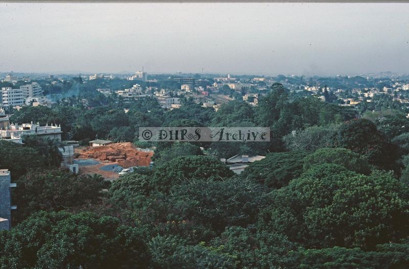 02619.jpg