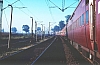 02372.jpg