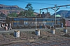 02387.jpg