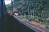 02400.jpg