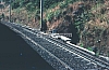 02401.jpg