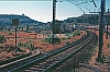 02403.jpg