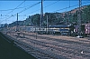 02407.jpg