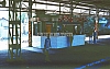 02417.jpg