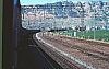 02421.jpg