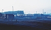 02439.jpg