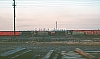 02440.jpg