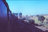 02449.jpg