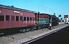 02450.jpg