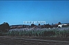 02452.jpg