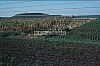 02453.jpg