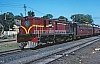 02466.jpg