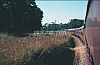 02467.jpg