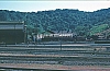 02474.jpg