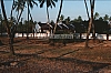 02499.jpg