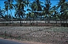 02539.jpg